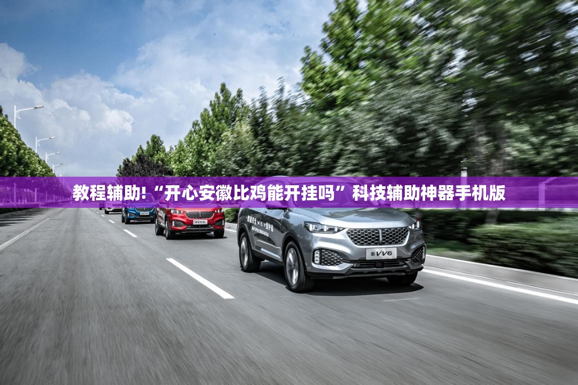 教程辅助!“开心安徽比鸡能开挂吗”科技辅助神器手机版