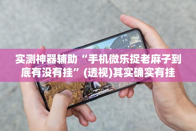 实测神器辅助“手机微乐捉老麻子到底有没有挂”(透视)其实确实有挂