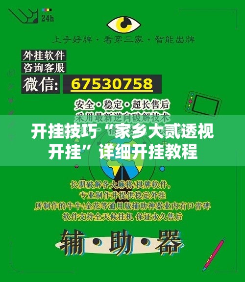 开挂技巧“家乡大贰透视开挂”详细开挂教程