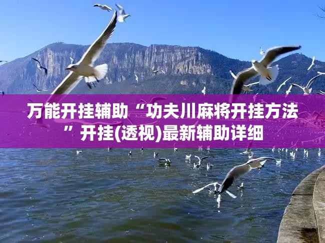 万能开挂辅助“功夫川麻将开挂方法”开挂(透视)最新辅助详细