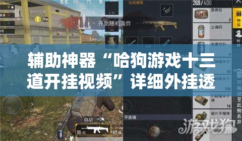 辅助神器“哈狗游戏十三道开挂视频”详细外挂透视辅助软件教程