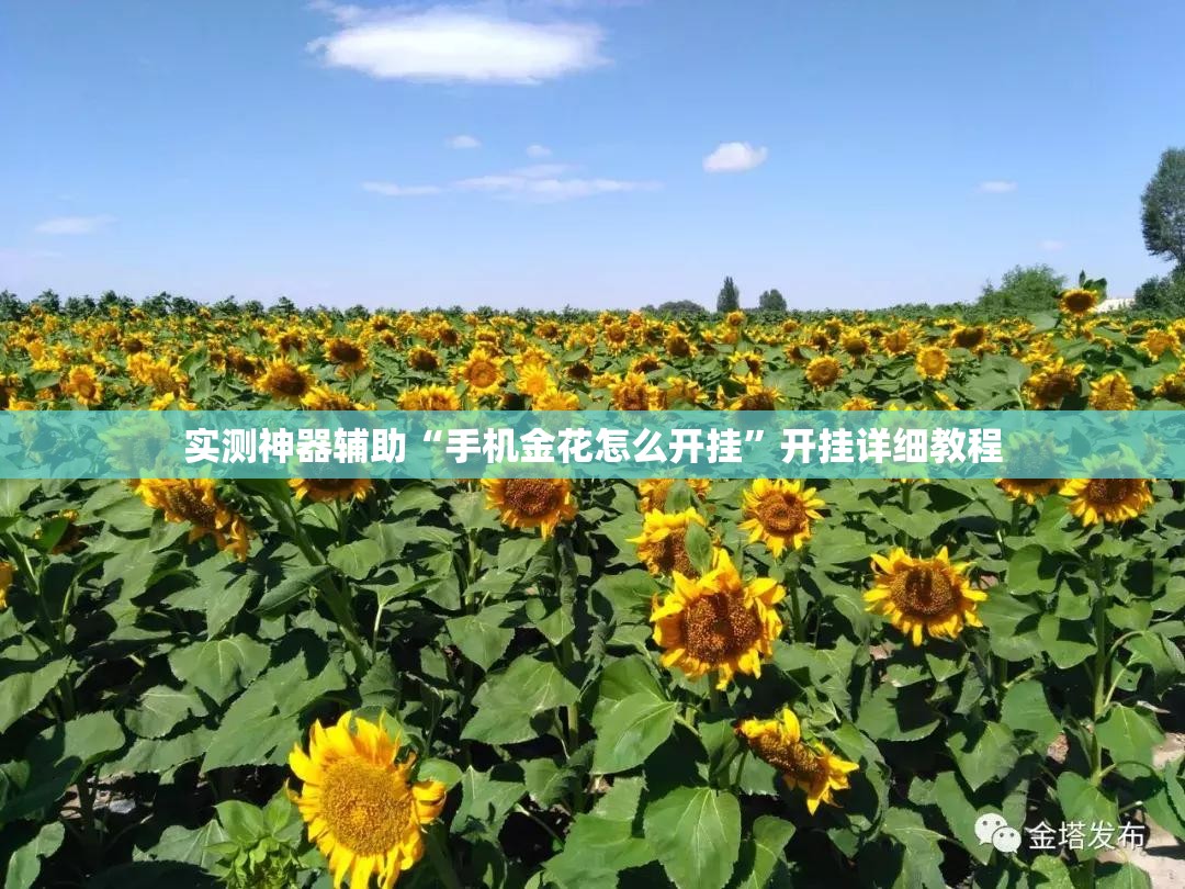 实测神器辅助“手机金花怎么开挂”开挂详细教程