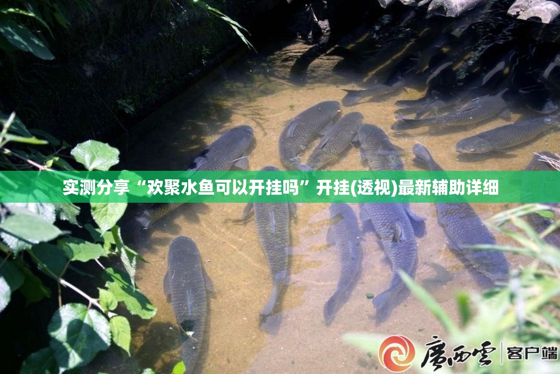 实测分享“欢聚水鱼可以开挂吗	”开挂(透视)最新辅助详细