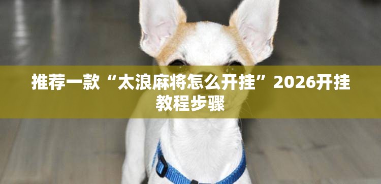推荐一款“太浪麻将怎么开挂”2026开挂教程步骤