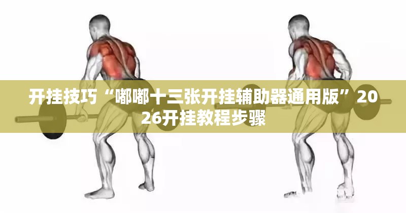 开挂技巧“嘟嘟十三张开挂辅助器通用版”2026开挂教程步骤