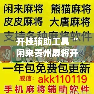 开挂辅助工具“闲来贵州麻将开挂辅助器通用版”开挂(透视)辅助教程