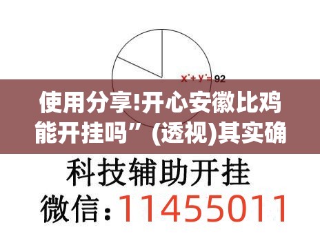 使用分享!开心安徽比鸡能开挂吗”(透视)其实确实有挂