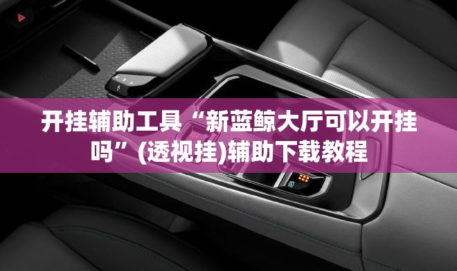 开挂辅助工具“新蓝鲸大厅可以开挂吗”(透视挂)辅助下载教程