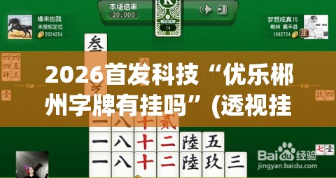 2026首发科技“优乐郴州字牌有挂吗”(透视挂)辅助下载教程