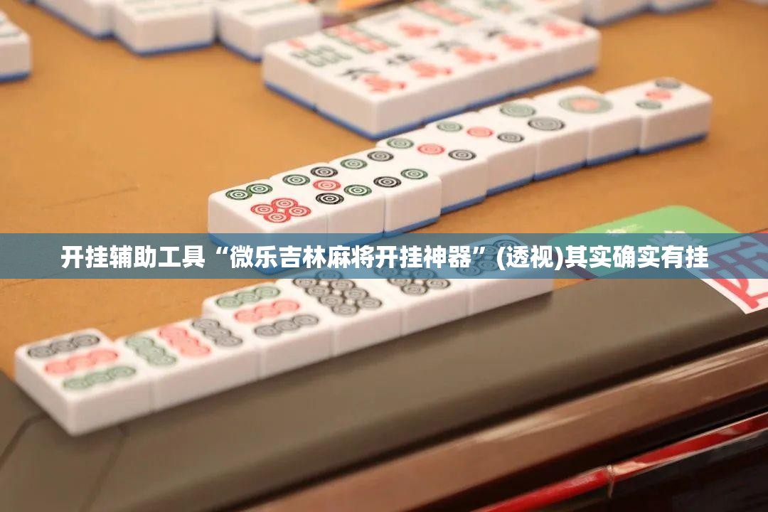 开挂辅助工具“微乐吉林麻将开挂神器”(透视)其实确实有挂