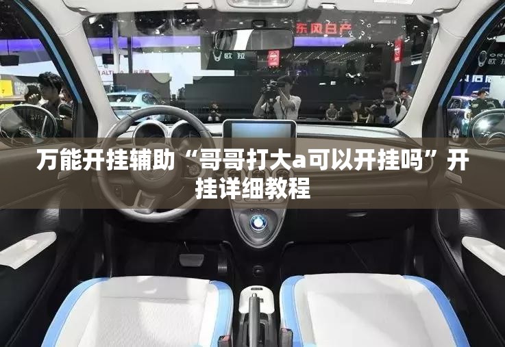 万能开挂辅助“哥哥打大a可以开挂吗”开挂详细教程