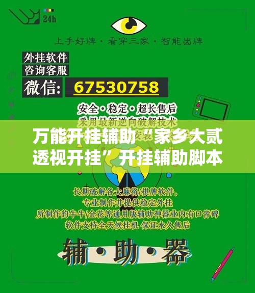 万能开挂辅助“家乡大贰透视开挂”开挂辅助脚本+详细开挂安装教程