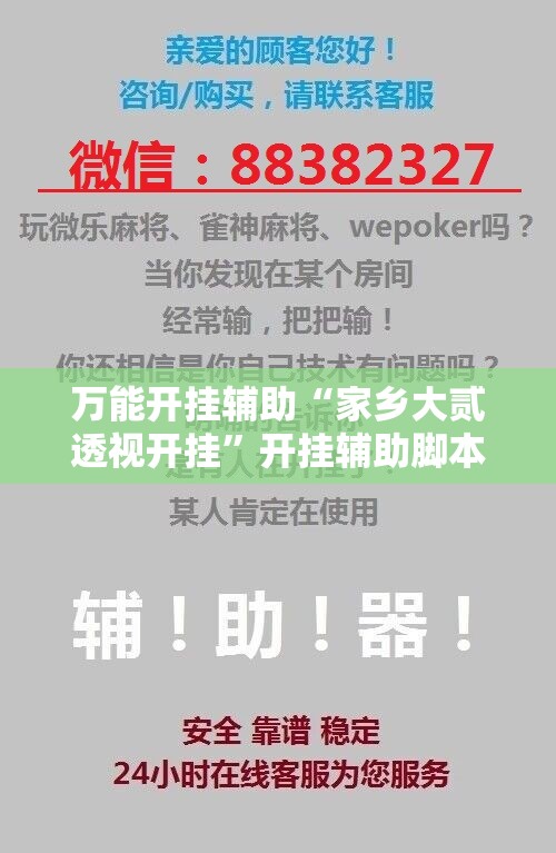 万能开挂辅助“家乡大贰透视开挂”开挂辅助脚本+详细开挂安装教程