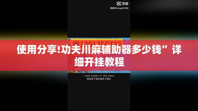 使用分享!功夫川麻辅助器多少钱”详细开挂教程
