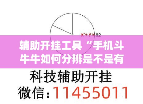 辅助开挂工具“手机斗牛牛如何分辨是不是有挂”开挂(透视)辅助神器