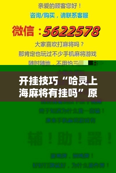 开挂技巧“哈灵上海麻将有挂吗”原来可以开挂