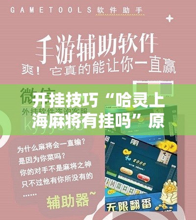 开挂技巧“哈灵上海麻将有挂吗”原来可以开挂
