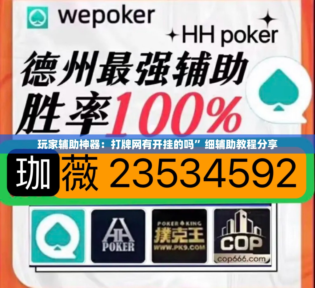 玩家辅助神器：打牌网有开挂的吗”细辅助教程分享