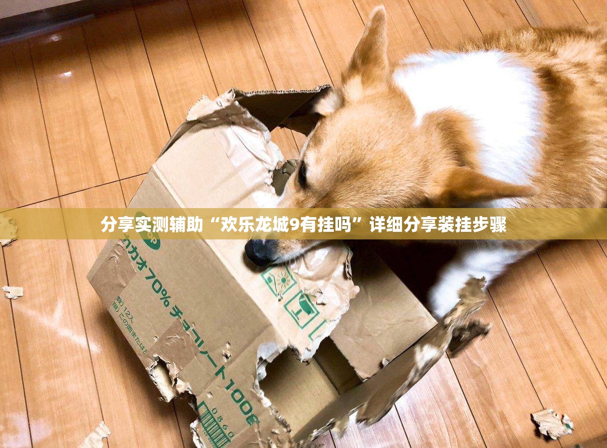 分享实测辅助“欢乐龙城9有挂吗”详细分享装挂步骤