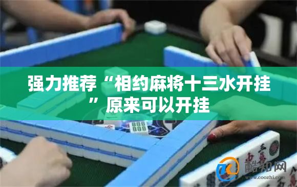 强力推荐“相约麻将十三水开挂”原来可以开挂