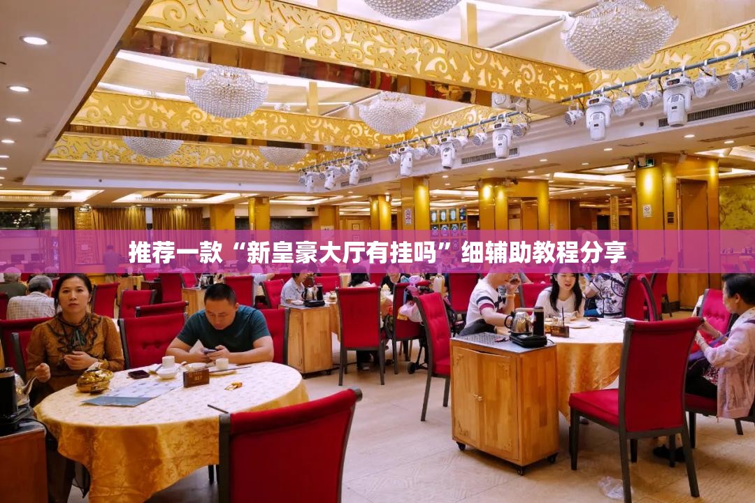 推荐一款“新皇豪大厅有挂吗”细辅助教程分享