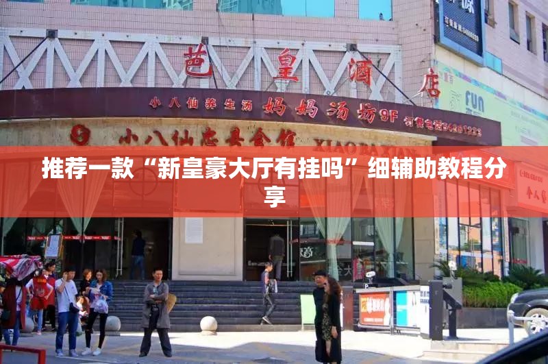 推荐一款“新皇豪大厅有挂吗”细辅助教程分享
