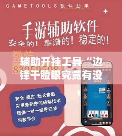 辅助开挂工具“边锋干瞪眼究竟有没有挂”开挂(透视)辅助神器