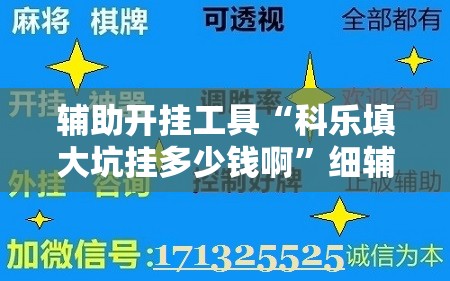 辅助开挂工具“科乐填大坑挂多少钱啊	”细辅助教程分享