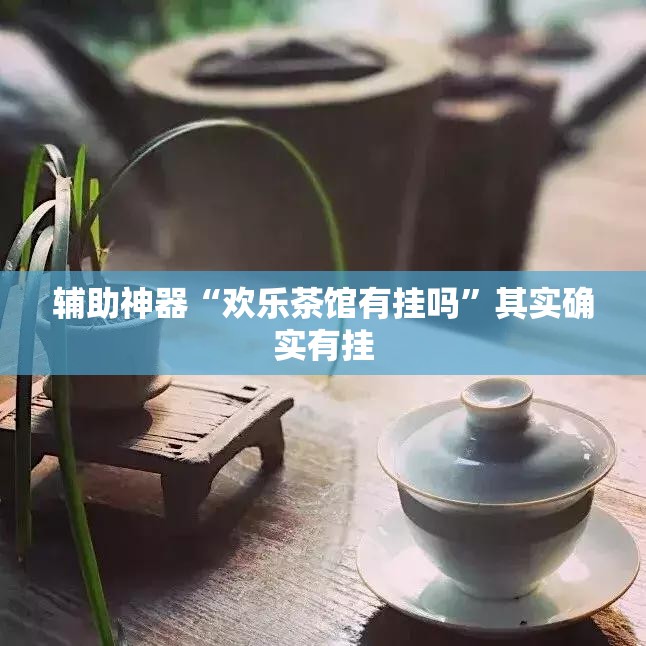 辅助神器“欢乐茶馆有挂吗”其实确实有挂