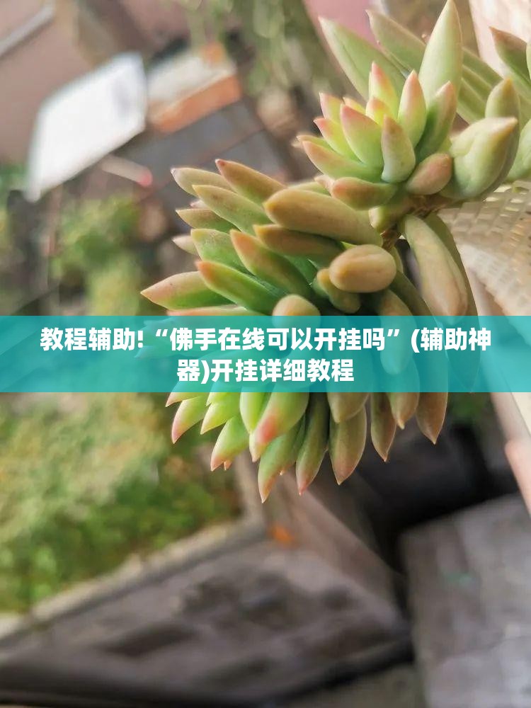 教程辅助!“佛手在线可以开挂吗”(辅助神器)开挂详细教程