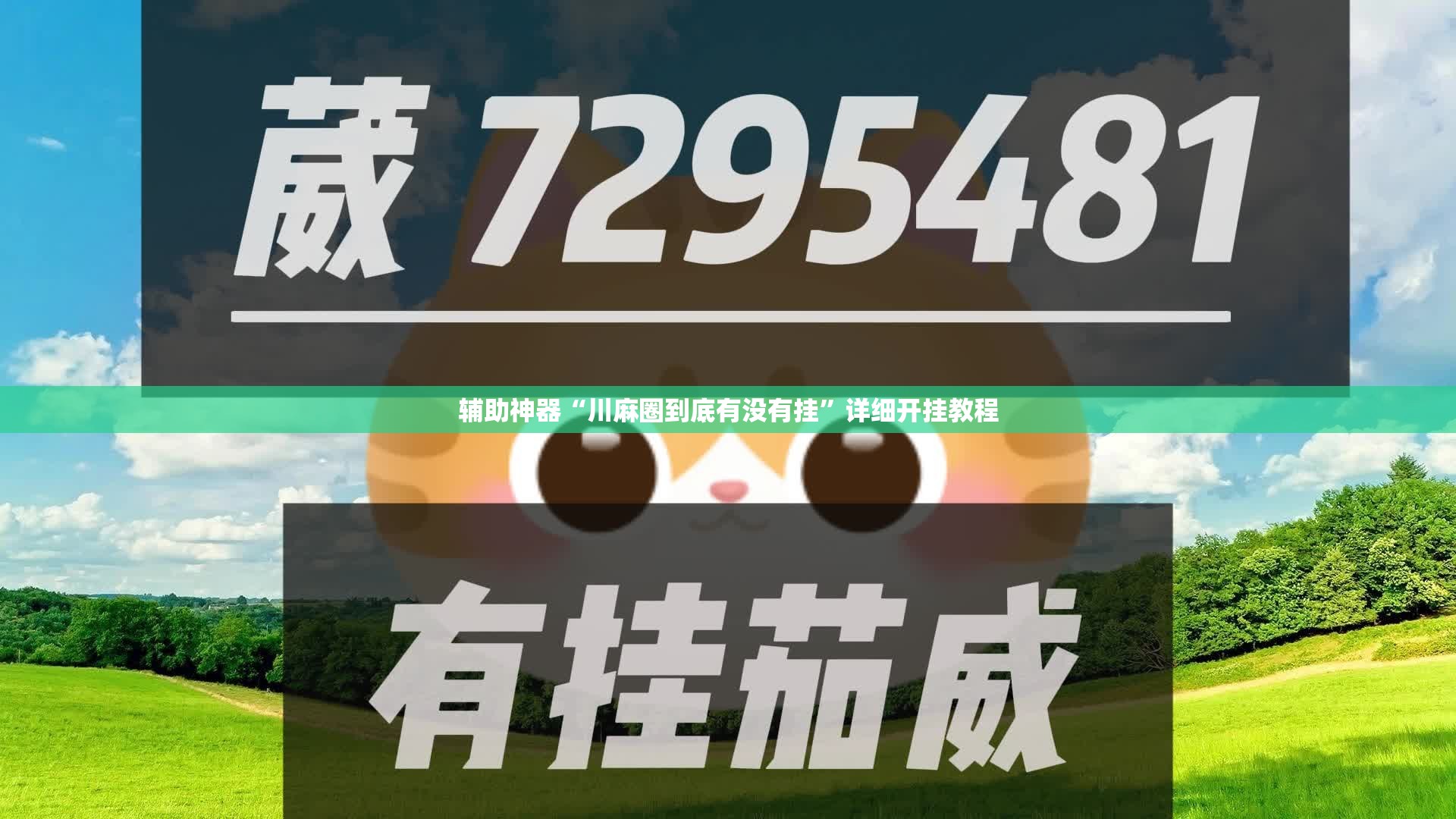 辅助神器“川麻圈到底有没有挂”详细开挂教程