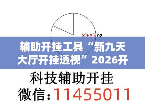 辅助开挂工具“新九天大厅开挂透视”2026开挂教程步骤