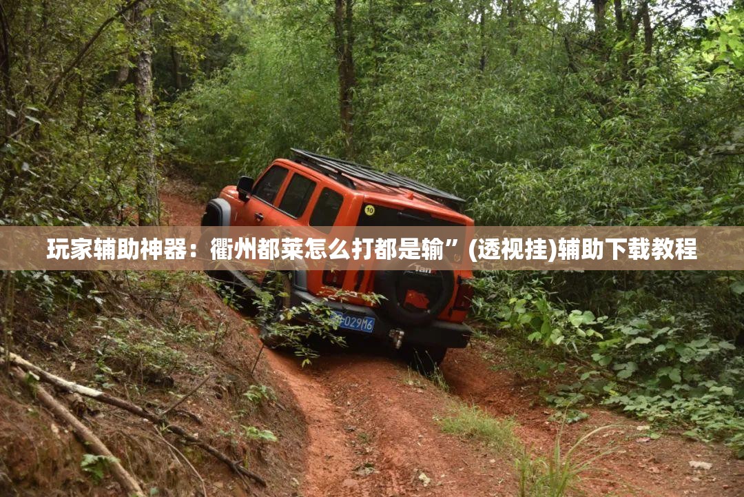 玩家辅助神器：衢州都莱怎么打都是输	”(透视挂)辅助下载教程