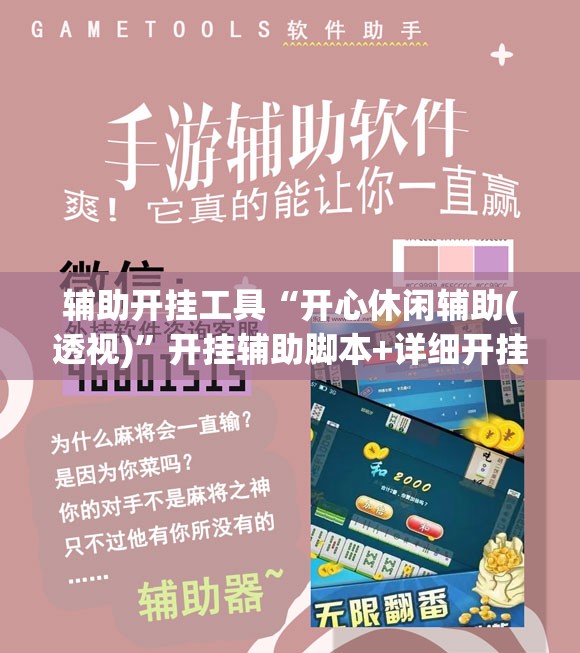 辅助开挂工具“开心休闲辅助(透视)”开挂辅助脚本+详细开挂安装教程
