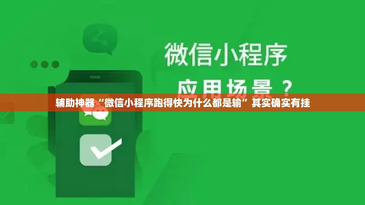 辅助神器“微信小程序跑得快为什么都是输	”其实确实有挂
