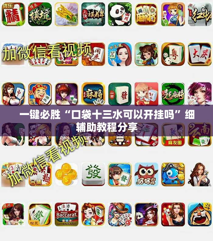一键必胜“口袋十三水可以开挂吗”细辅助教程分享