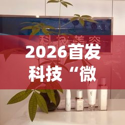 2026首发科技“微乐宁夏捉麻子开挂免费下载安装”开挂(透视)辅助神器
