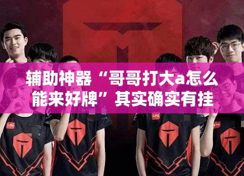辅助神器“哥哥打大a怎么能来好牌	”其实确实有挂