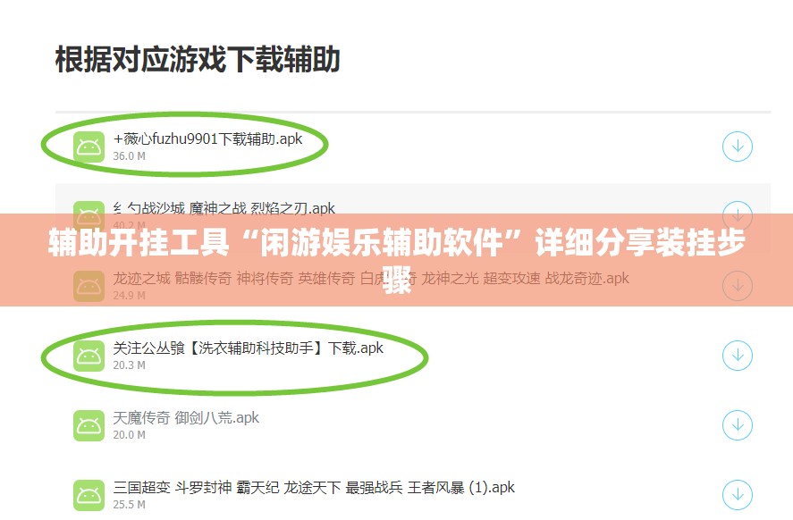 辅助开挂工具“闲游娱乐辅助软件	”详细分享装挂步骤