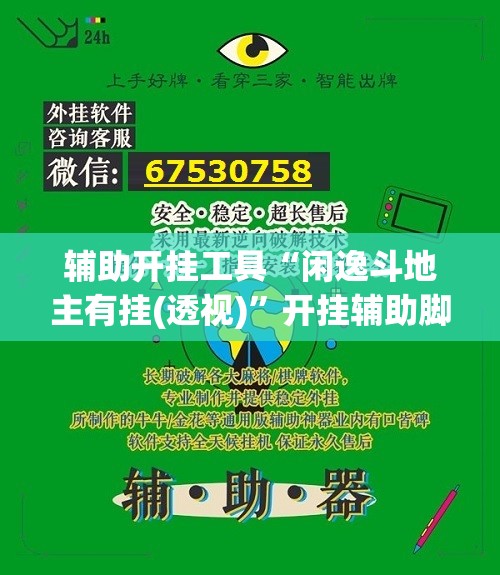 辅助开挂工具“闲逸斗地主有挂(透视)”开挂辅助脚本+详细开挂安装教程