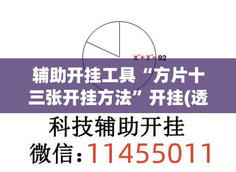 辅助开挂工具“方片十三张开挂方法”开挂(透视)最新辅助详细