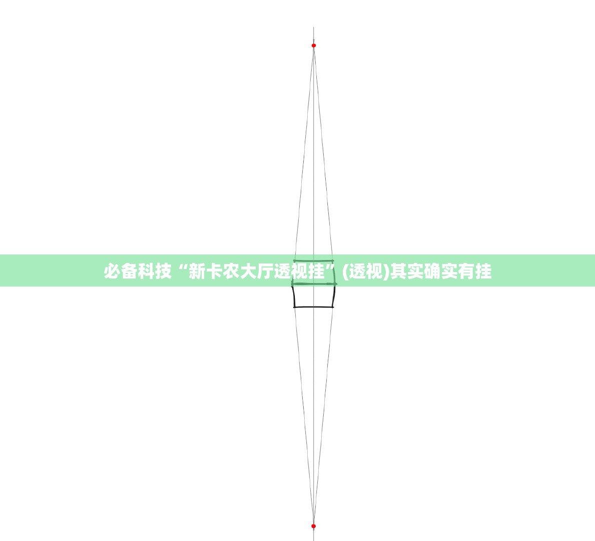 必备科技“新卡农大厅透视挂”(透视)其实确实有挂