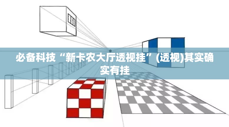 必备科技“新卡农大厅透视挂”(透视)其实确实有挂