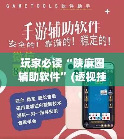 玩家必读“陕麻圈辅助软件”(透视挂)辅助下载教程
