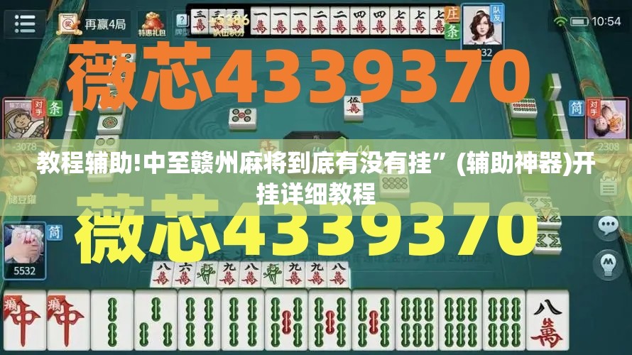 教程辅助!中至赣州麻将到底有没有挂”(辅助神器)开挂详细教程