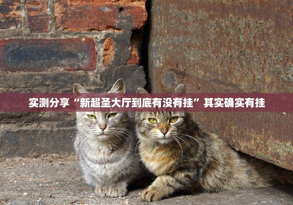 实测分享“新超圣大厅到底有没有挂”其实确实有挂