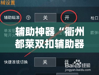 辅助神器“衢州都莱双扣辅助器是真是假”详细开挂教程