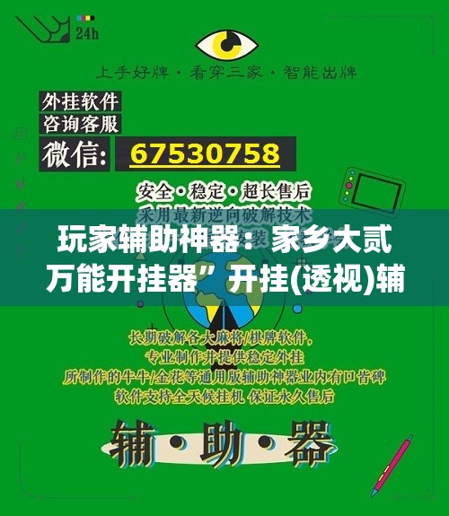 玩家辅助神器：家乡大贰万能开挂器	”开挂(透视)辅助教程