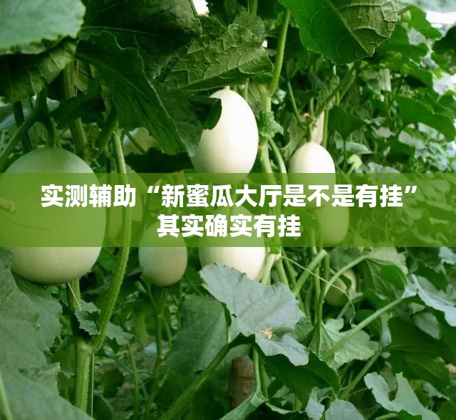 实测辅助“新蜜瓜大厅是不是有挂”其实确实有挂