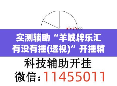 实测辅助“羊城牌乐汇有没有挂(透视)”开挂辅助脚本+详细开挂安装教程